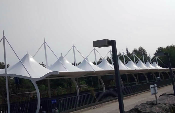 ����ɽ���������Ⱥ���Ĥ�ṹ